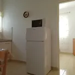 Apartment Ivo Mazic