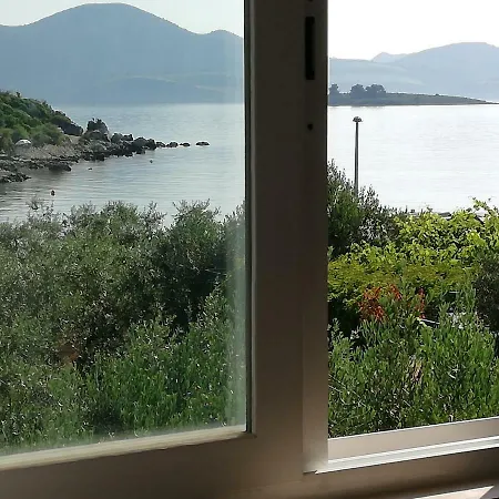 Ivo Mazic Apartamento