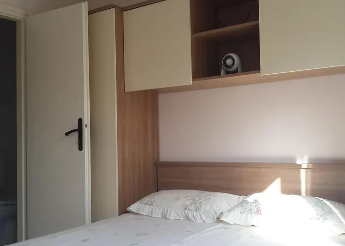 Ivo Mazic * סרסר