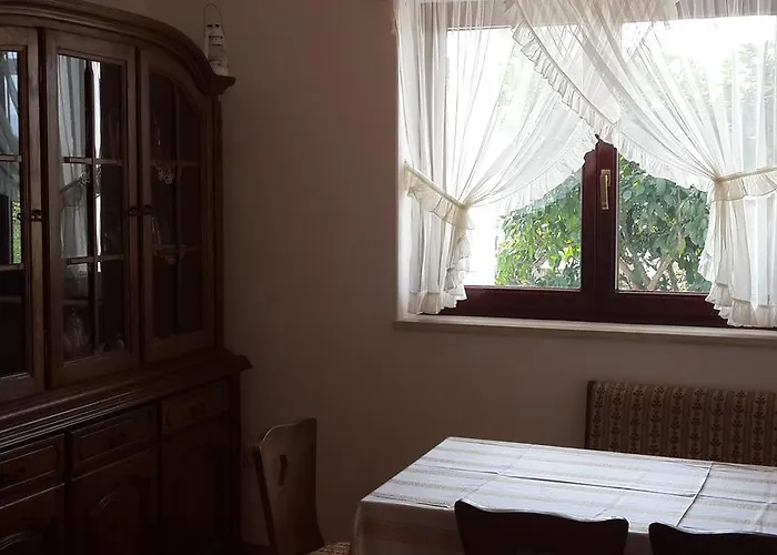 Ivo Mazic * סרסר