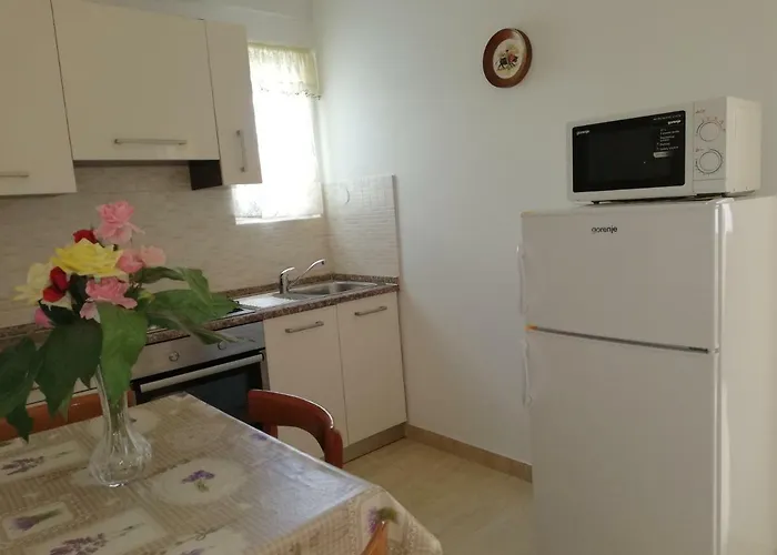 Ivo Mazic דירה סרסר